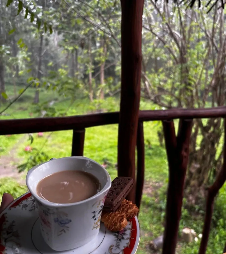 Hytte Atha Tree House Villa Habarana